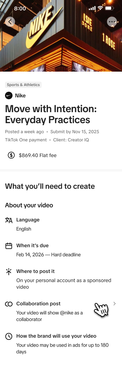 Creator campaign brief